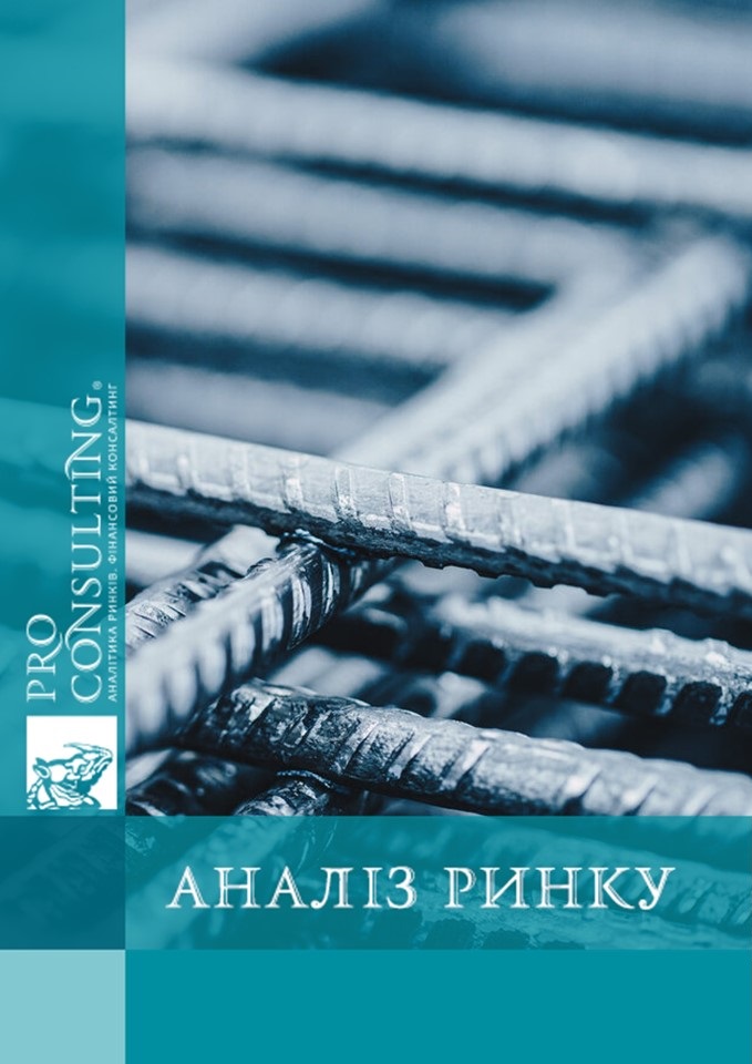 Аналіз ринку композитної сітки та арматури в Грузії. 2024 рік